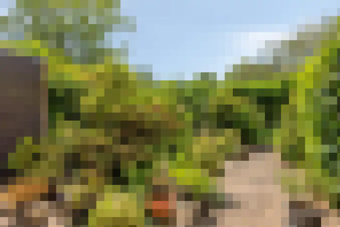 Lenningenhof 15 Eindhoven thumbnail 5