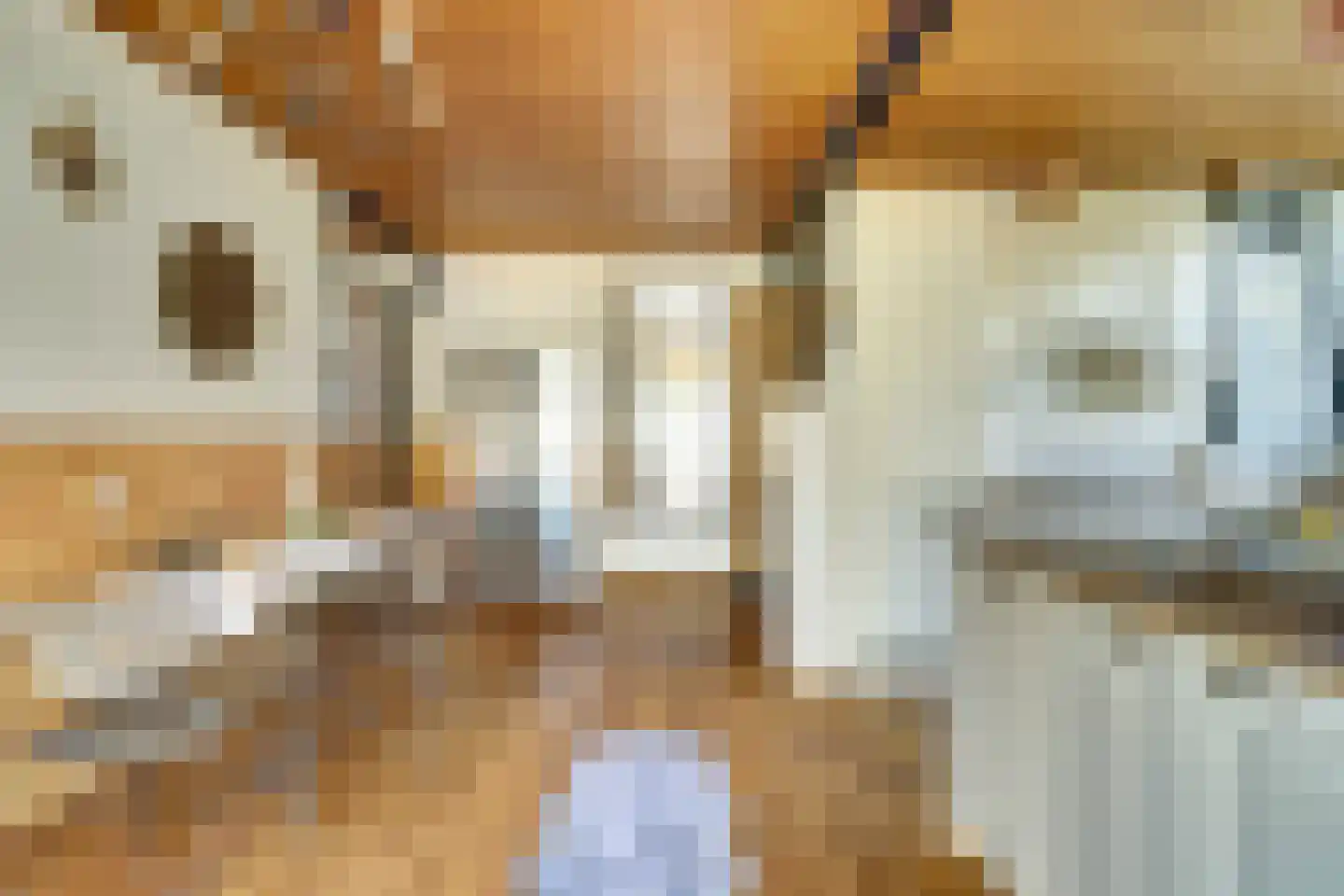 Lenningenhof 18 Eindhoven thumbnail 17