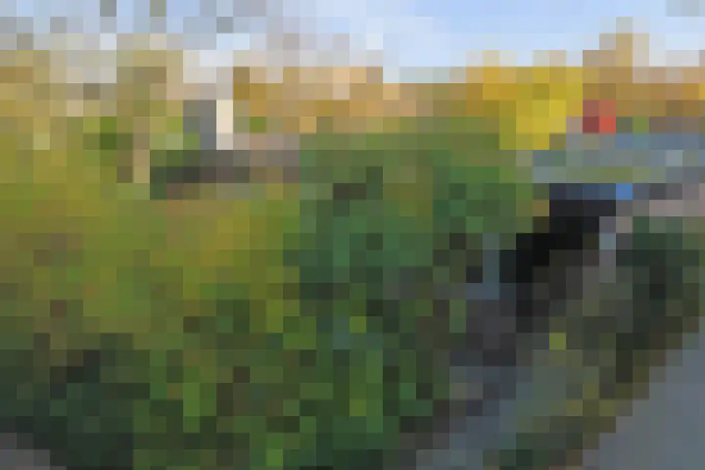 Lenningenhof 18 Eindhoven thumbnail 35