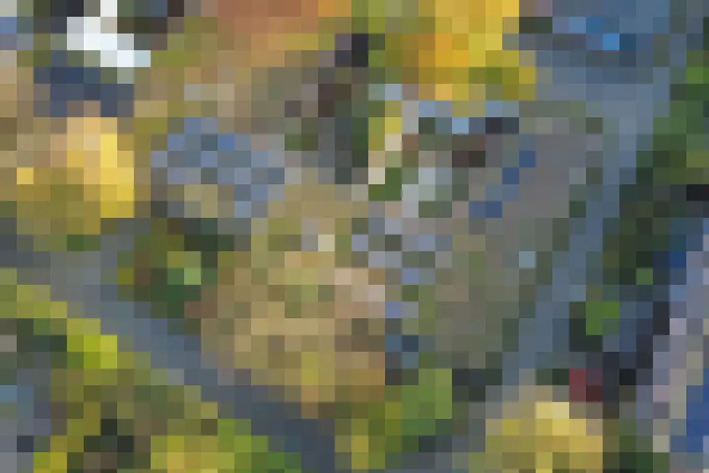 Lenningenhof 18 Eindhoven thumbnail 36