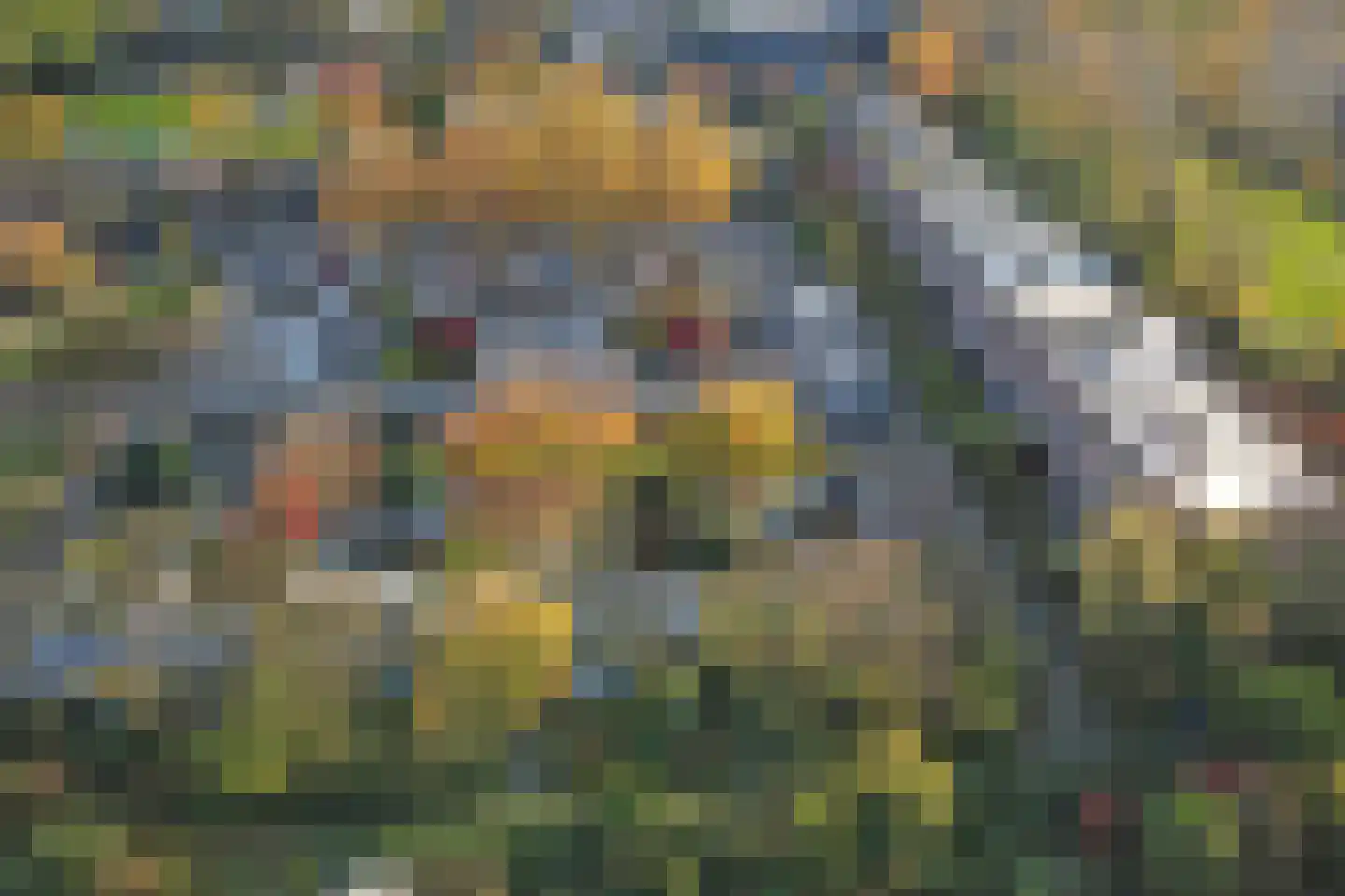 Lenningenhof 18 Eindhoven thumbnail 37