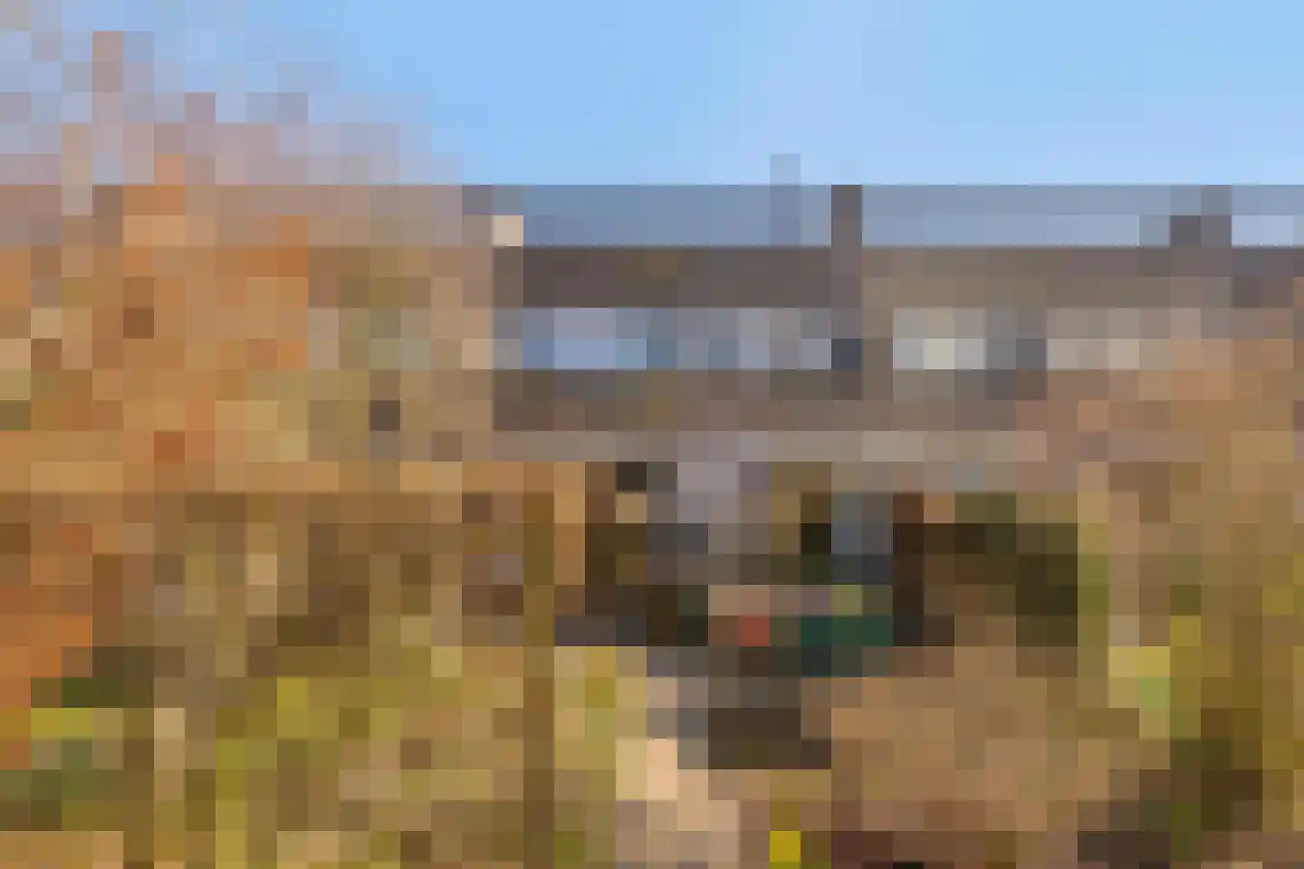 Lenningenhof 37 Eindhoven thumbnail 42