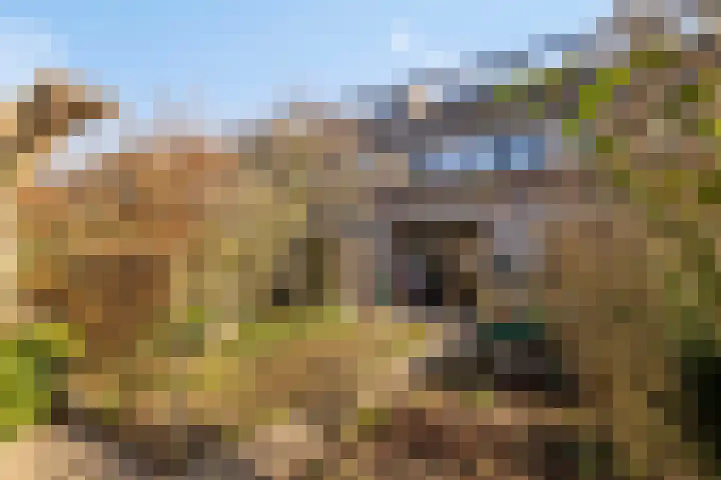 Lenningenhof 37 Eindhoven thumbnail 43