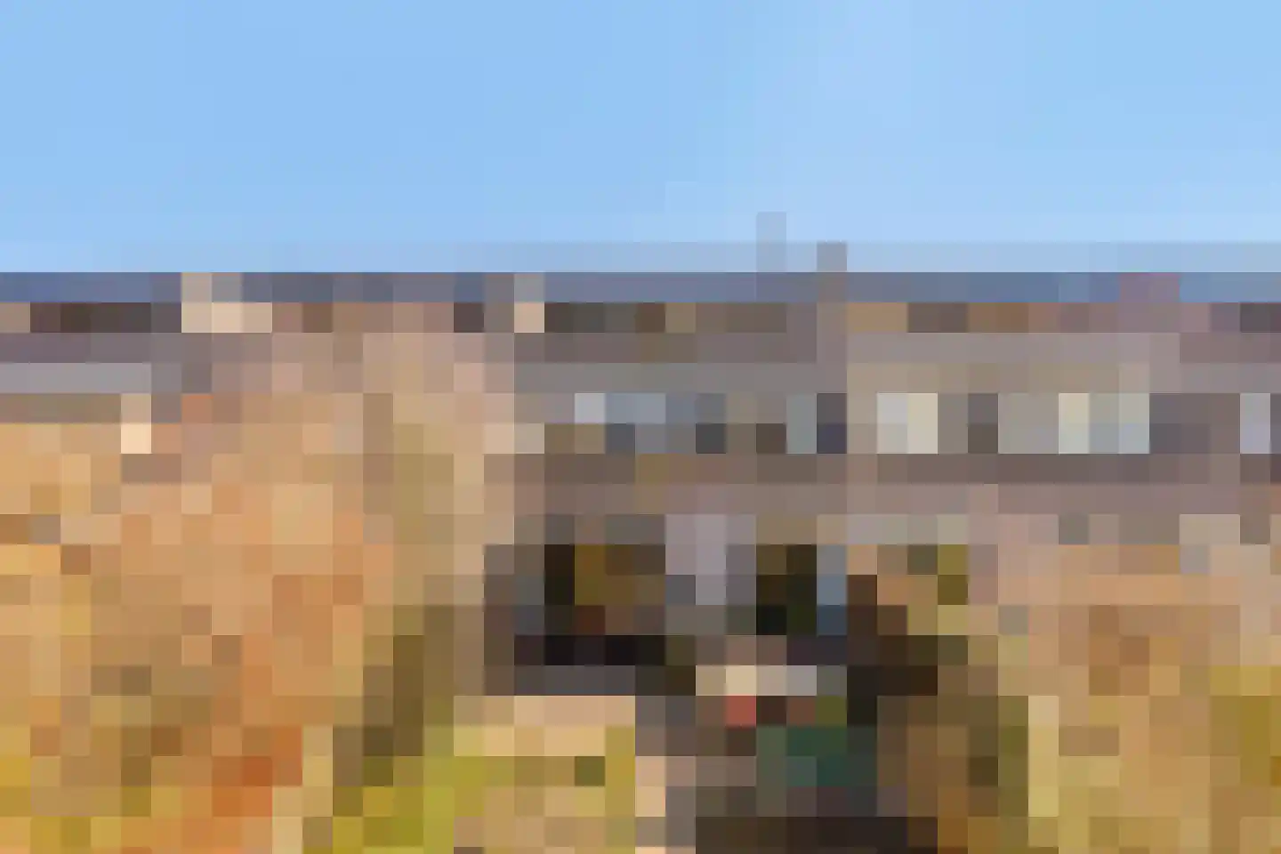 Lenningenhof 37 Eindhoven thumbnail 45
