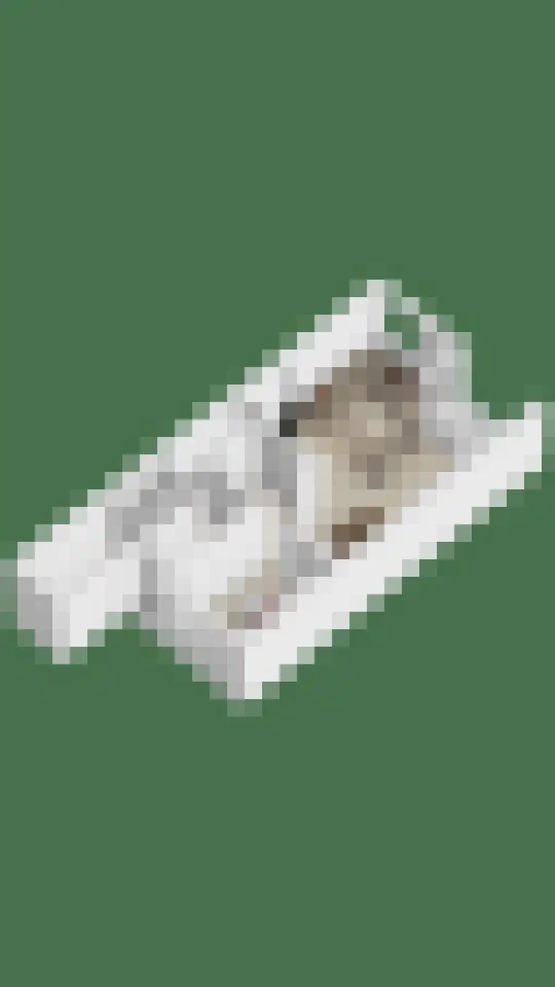 Lenningenhof 37 Eindhoven thumbnail 55