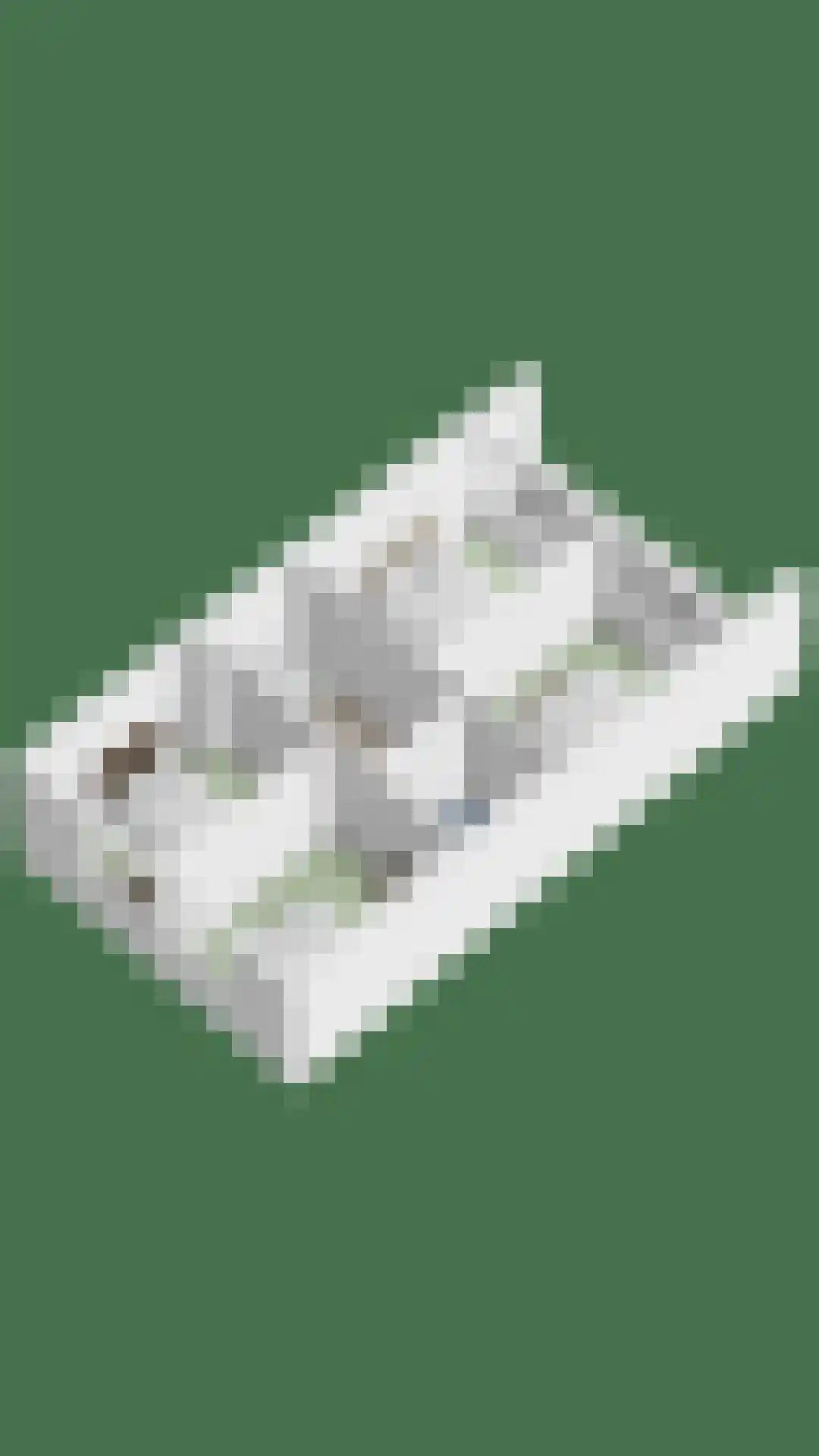 Lenningenhof 37 Eindhoven thumbnail 57
