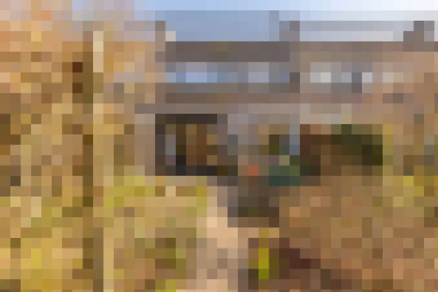 Lenningenhof 37 Eindhoven thumbnail 6