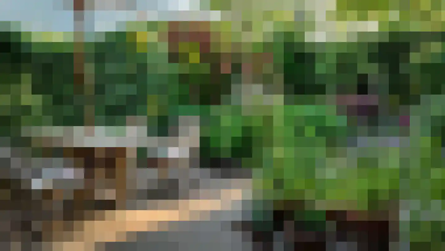 Lenningenhof 37 Eindhoven thumbnail 7