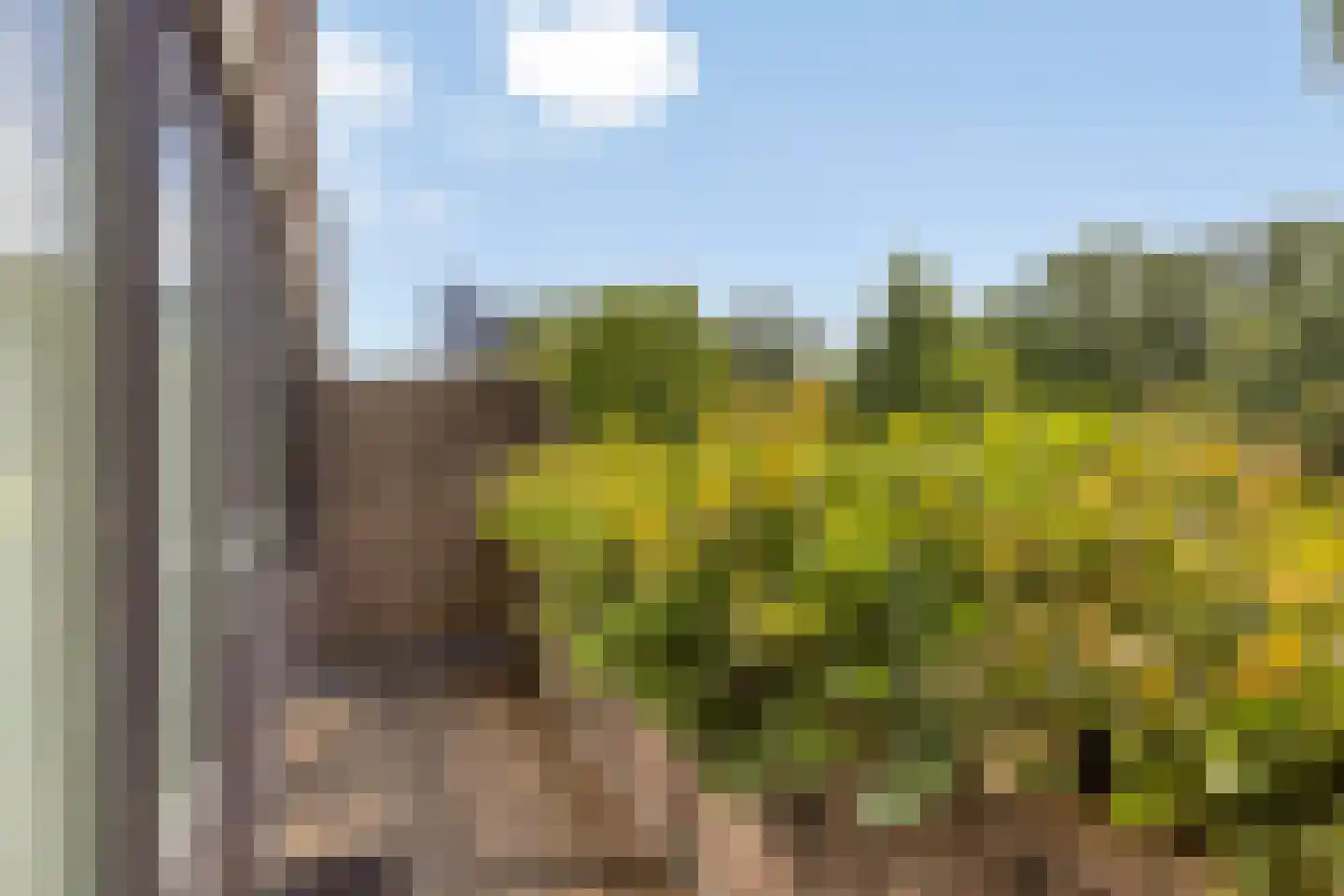 Lenningenhof 55 Eindhoven thumbnail 19