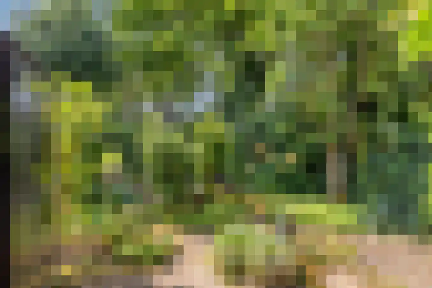 Lenningenhof 55 Eindhoven thumbnail 34