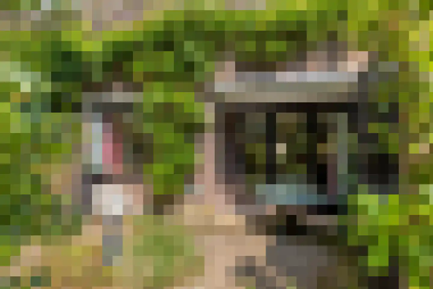 Lenningenhof 55 Eindhoven thumbnail 35