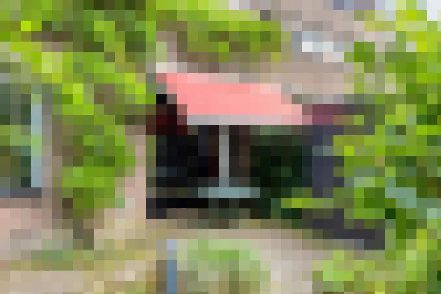 Lenningenhof 55 Eindhoven thumbnail 36
