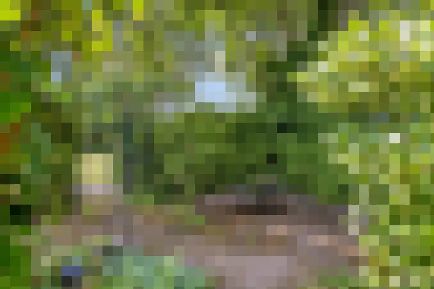 Lenningenhof 55 Eindhoven thumbnail 37