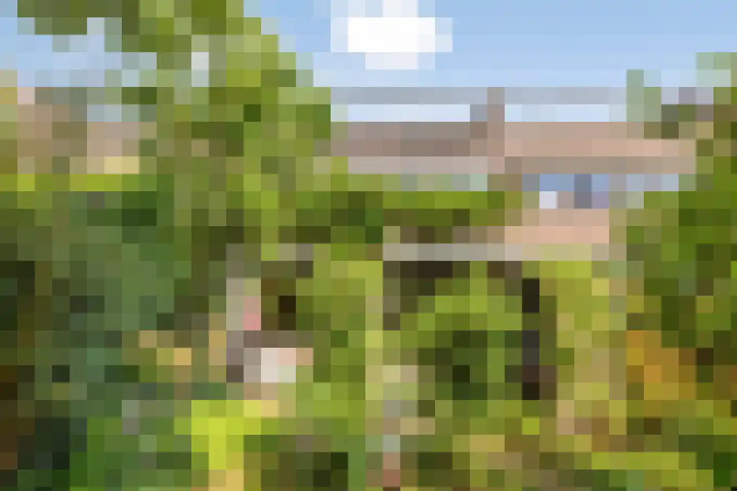 Lenningenhof 55 Eindhoven thumbnail 38