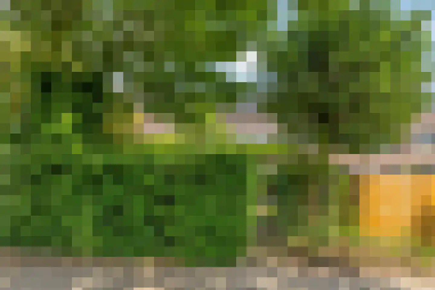Lenningenhof 55 Eindhoven thumbnail 39