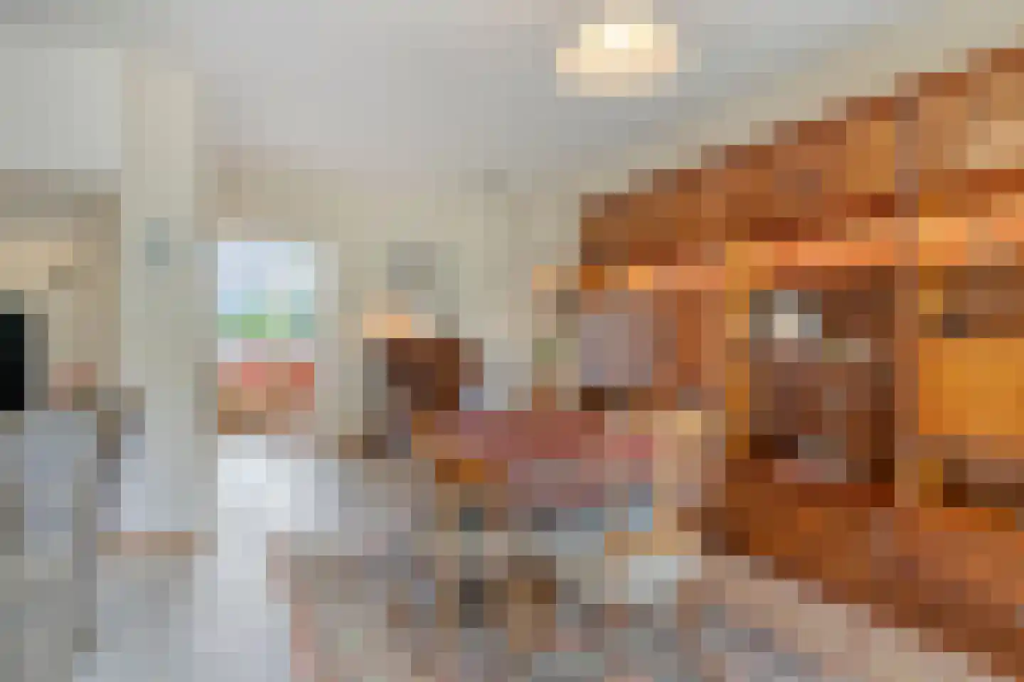 Lenningenhof 55 Eindhoven thumbnail 6