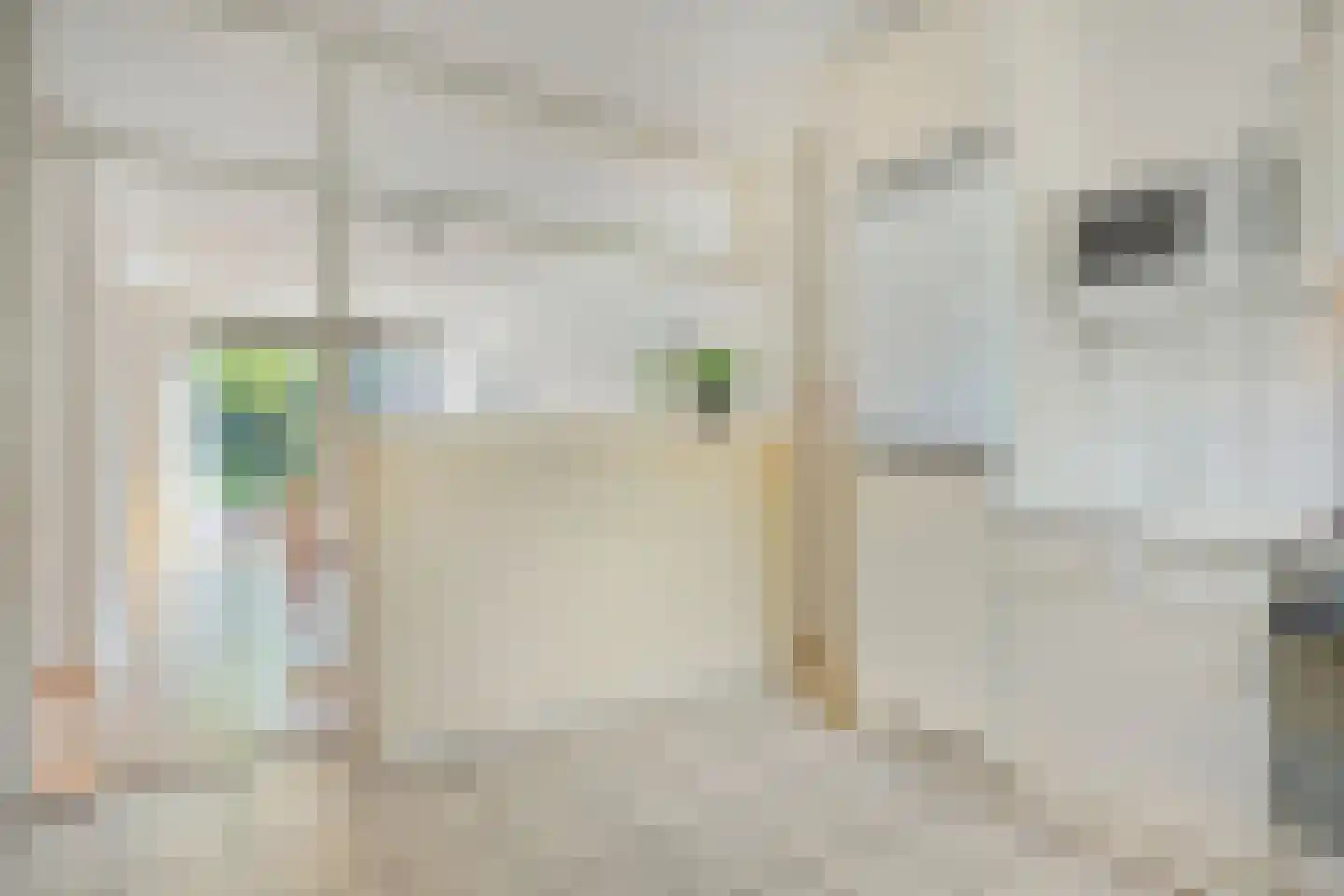 Lenningenhof 7 Eindhoven thumbnail 19