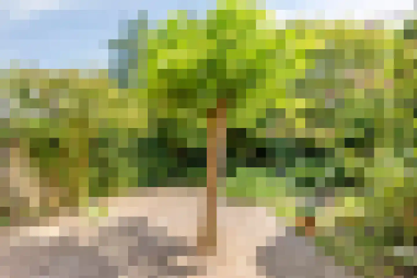 Lenningenhof 7 Eindhoven thumbnail 39