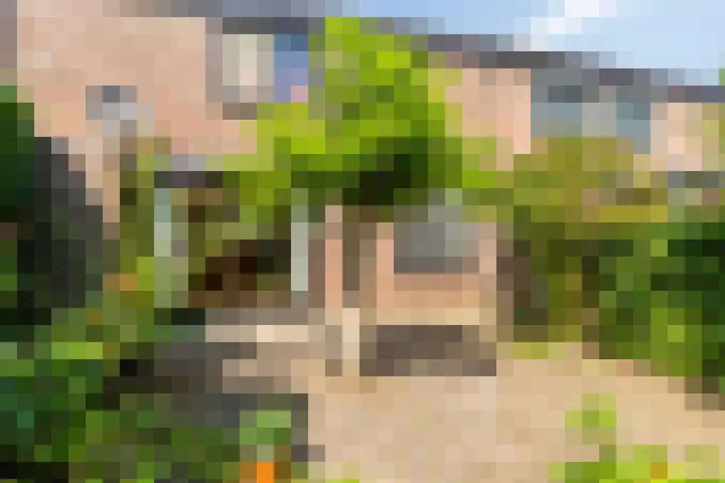 Lenningenhof 7 Eindhoven thumbnail 5