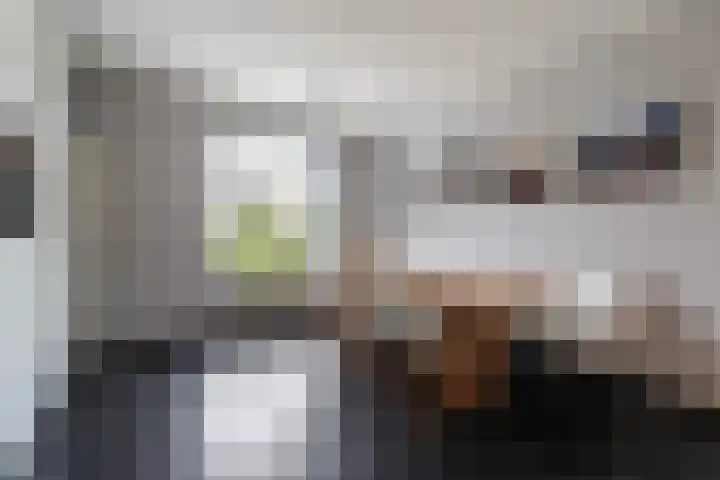 Lennisheuvel 25 Boxtel thumbnail 20