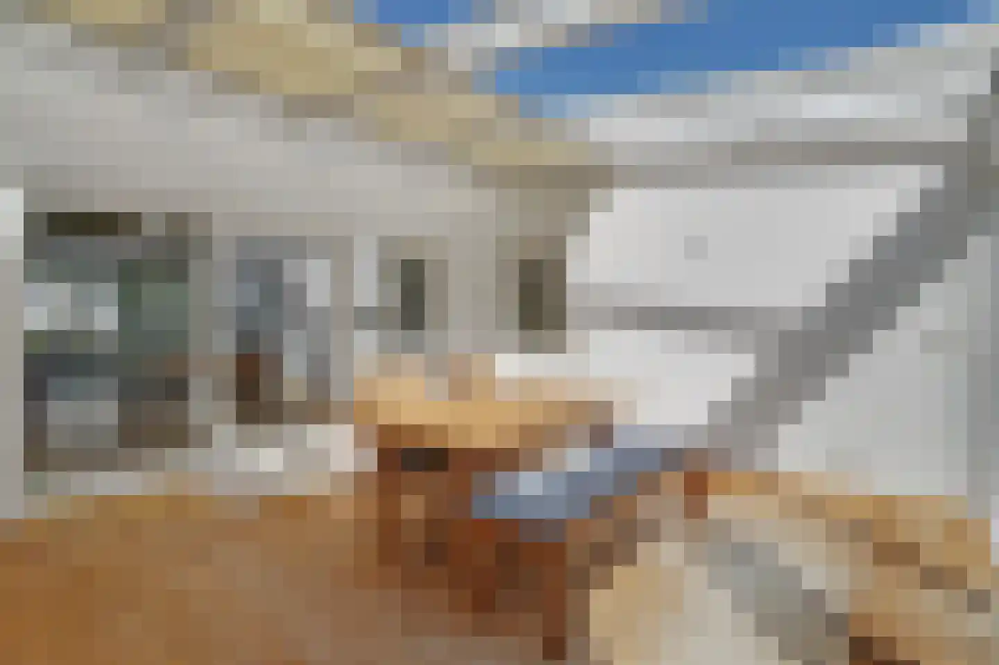 Lennondreef 16 Tilburg thumbnail 19