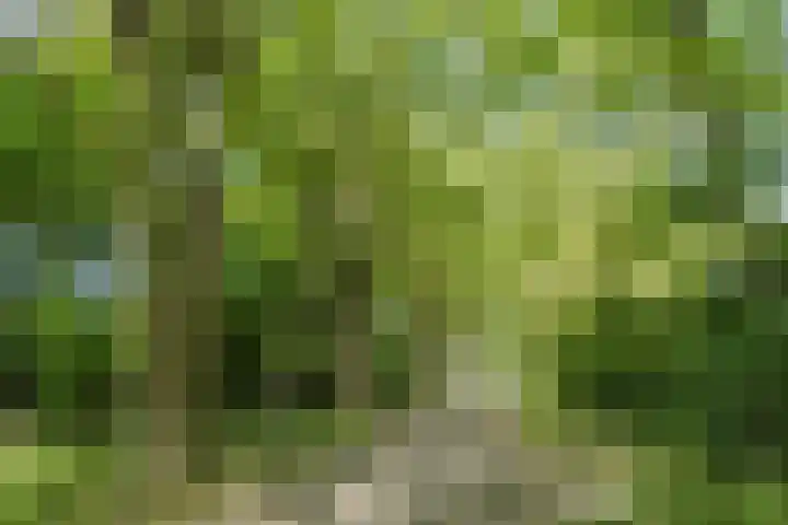 Lennondreef 33 Tilburg thumbnail 31