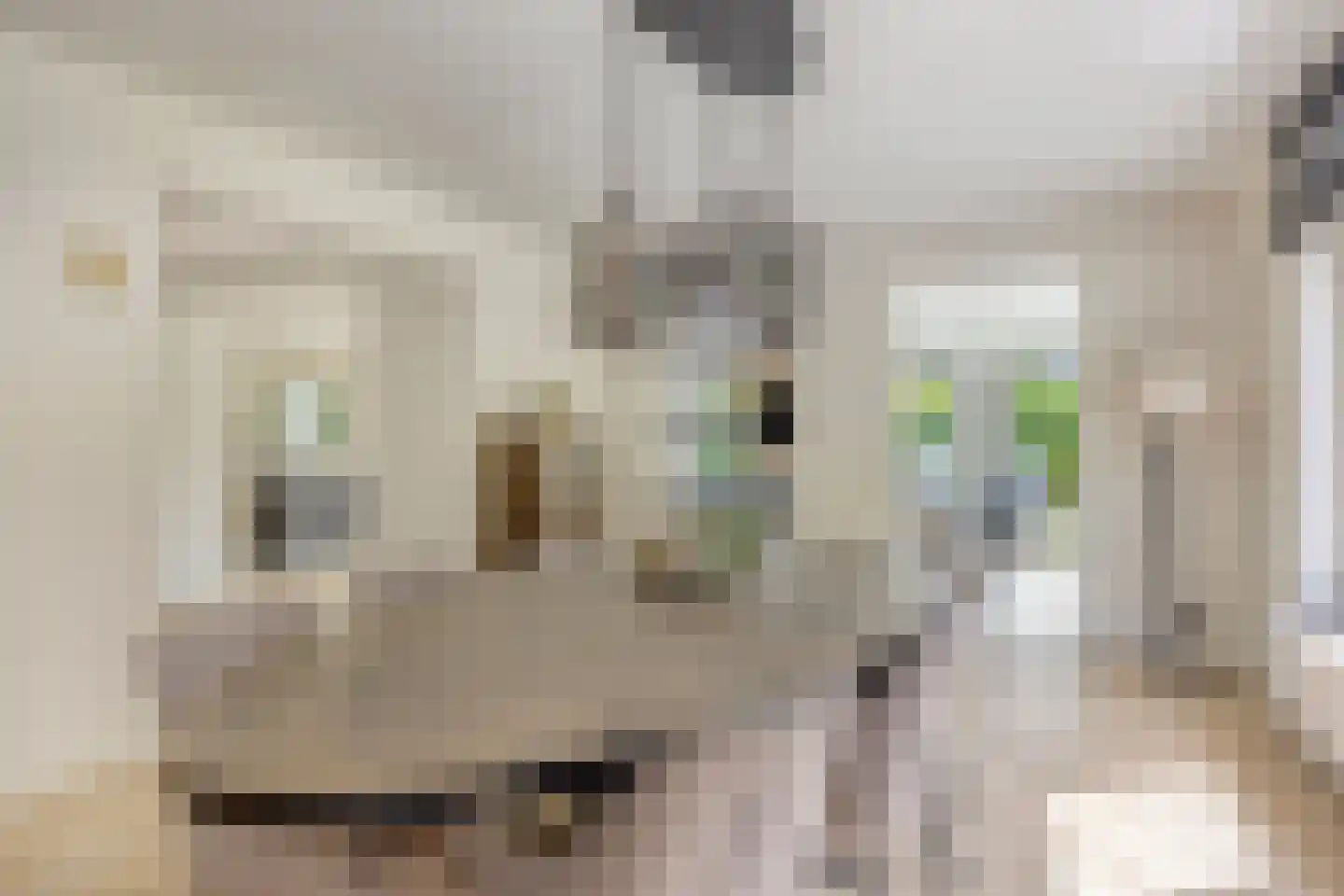 Lennondreef 62 Tilburg thumbnail 11