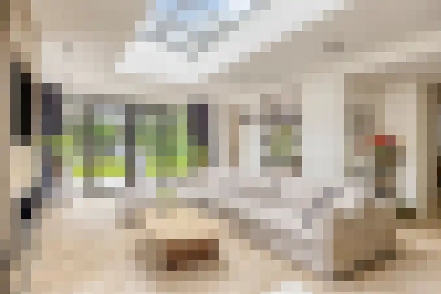 Lennondreef 62 Tilburg thumbnail 4