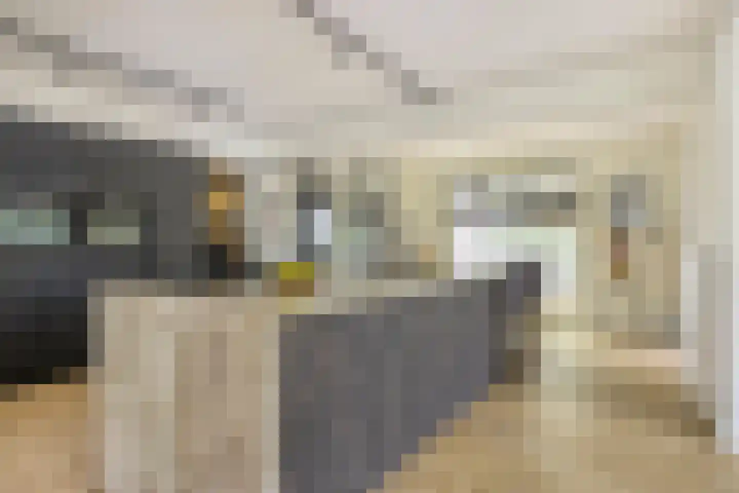 Lennondreef 62 Tilburg thumbnail 5