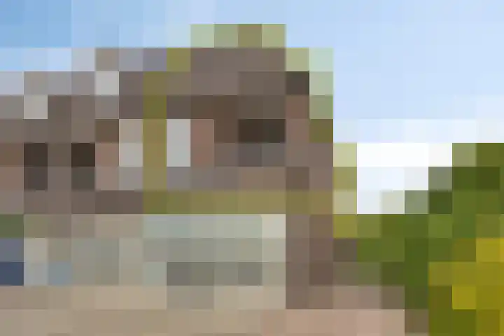 Lensheuvel 1 h Reusel