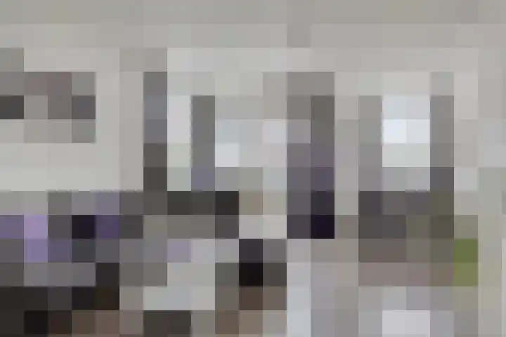 Lensheuvel 1 h Reusel thumbnail 11