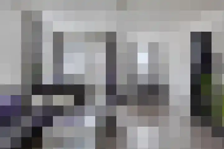 Lensheuvel 1 h Reusel thumbnail 12