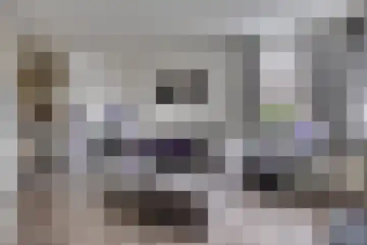 Lensheuvel 1 h Reusel thumbnail 13