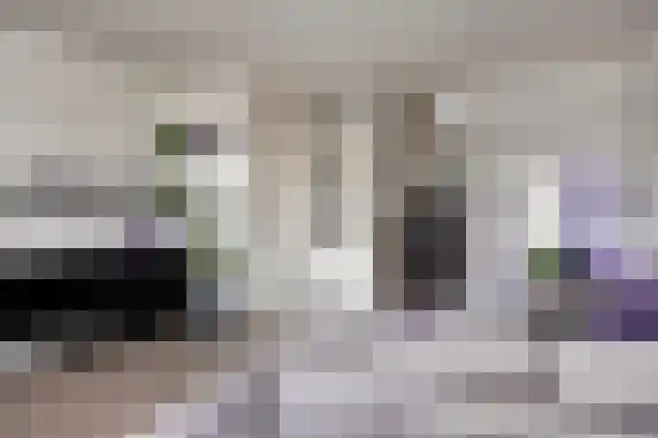 Lensheuvel 1 h Reusel thumbnail 14