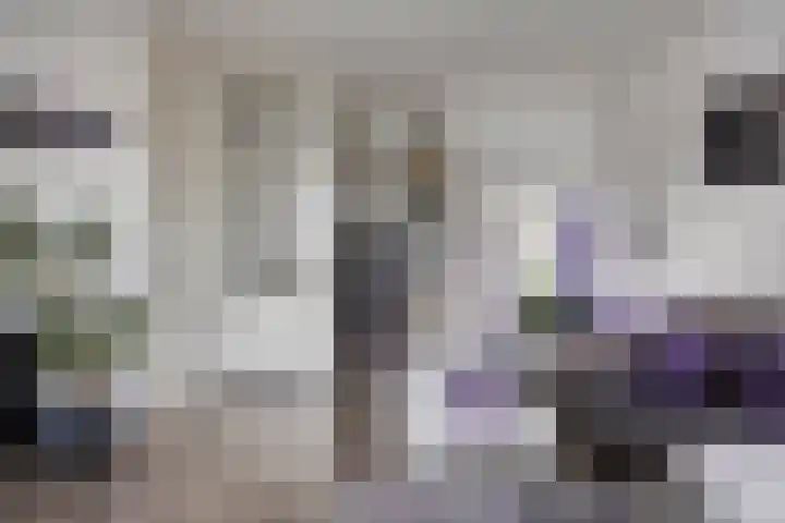 Lensheuvel 1 h Reusel thumbnail 15