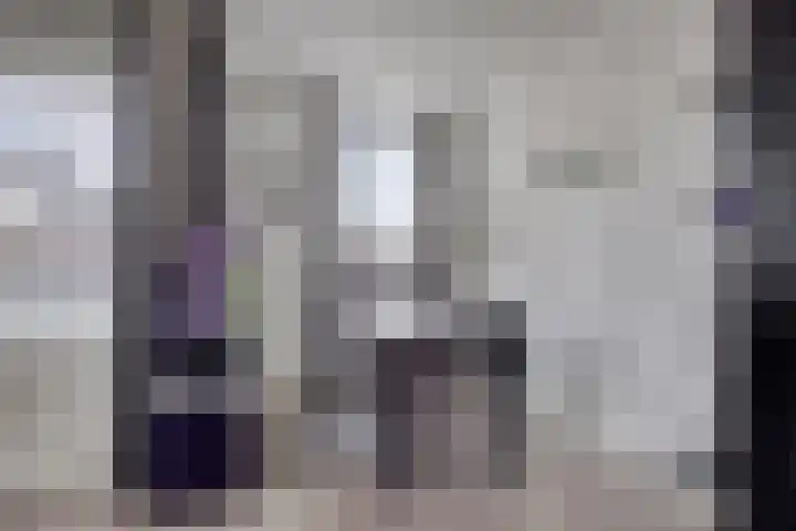 Lensheuvel 1 h Reusel thumbnail 16