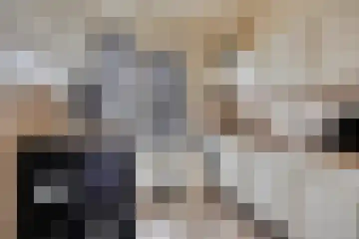 Lensheuvel 1 h Reusel thumbnail 18
