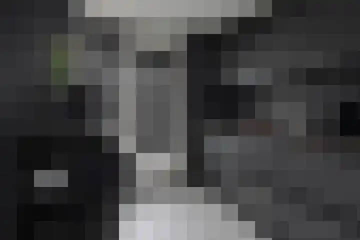 Lensheuvel 1 h Reusel thumbnail 19
