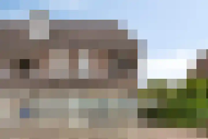 Lensheuvel 1 h Reusel foto 2