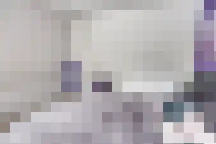 Lensheuvel 1 h Reusel thumbnail 22