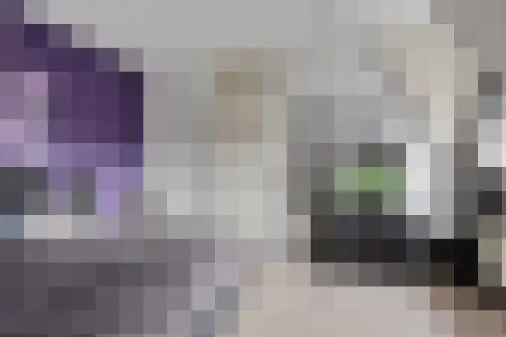 Lensheuvel 1 h Reusel thumbnail 24