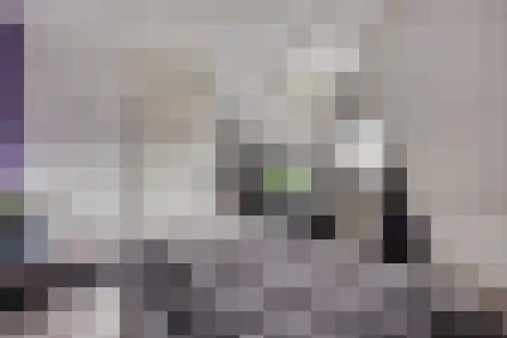 Lensheuvel 1 h Reusel thumbnail 25