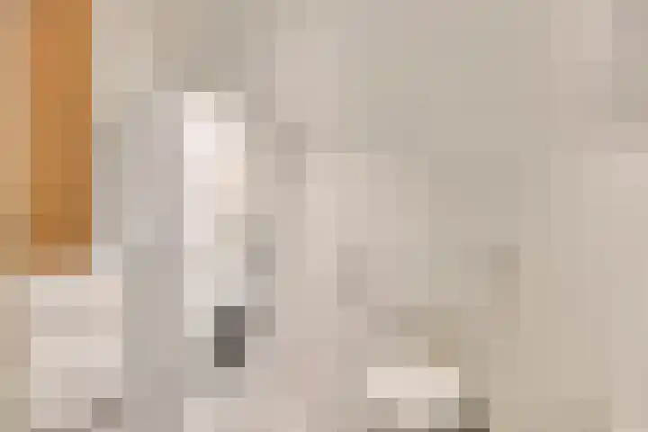 Lensheuvel 1 h Reusel thumbnail 26