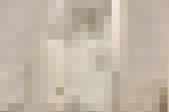 Lensheuvel 1 h Reusel thumbnail 27
