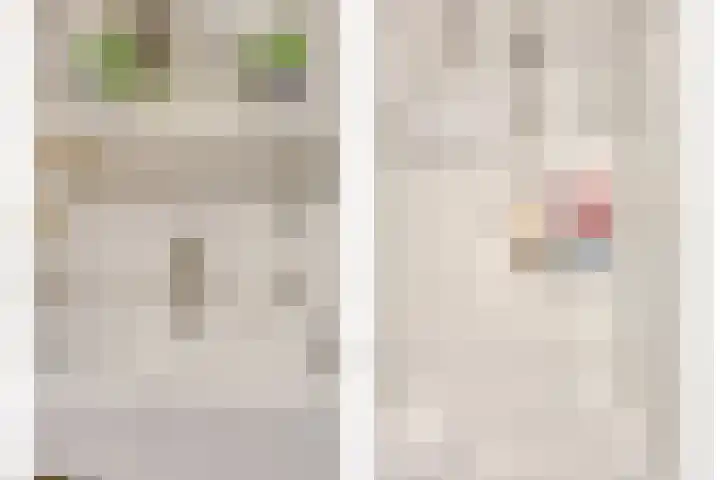 Lensheuvel 1 h Reusel thumbnail 28