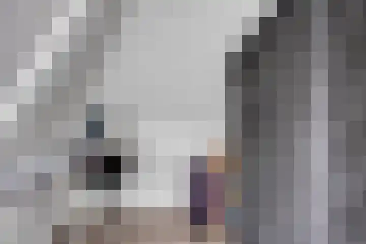 Lensheuvel 1 h Reusel thumbnail 29