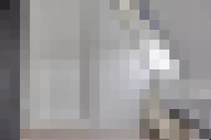 Lensheuvel 1 h Reusel thumbnail 30