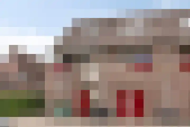 Lensheuvel 1 h Reusel thumbnail 4