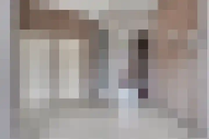 Lensheuvel 1 h Reusel thumbnail 6