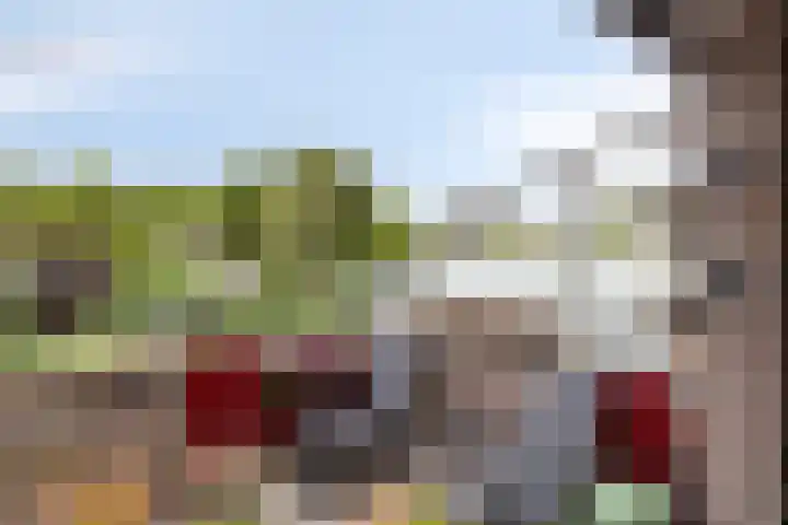 Lensheuvel 1 h Reusel thumbnail 7